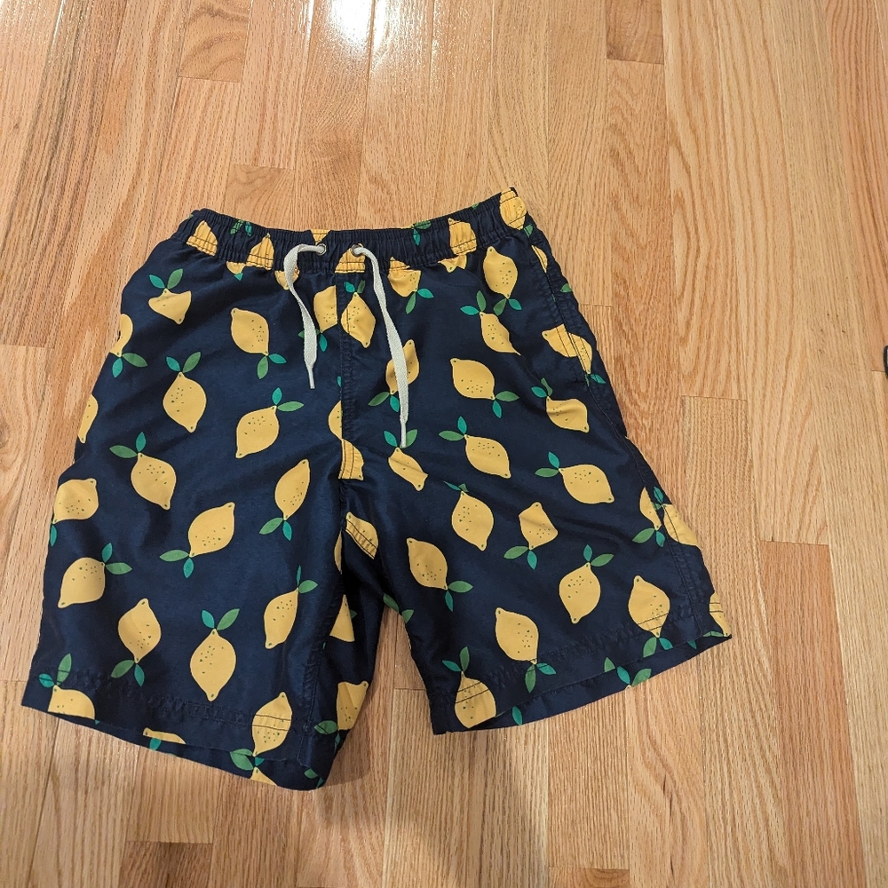 Hannah Andersson swimsuit lemons